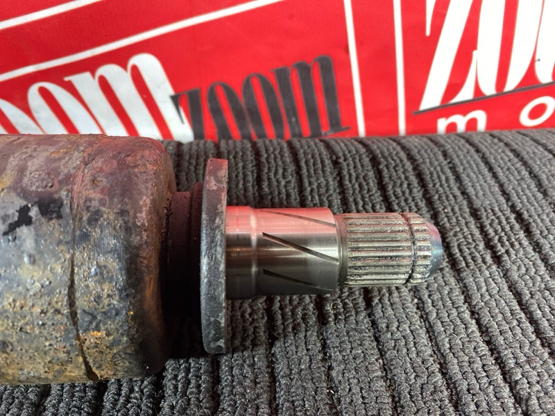 Привод, 1300 рублей, Солонцы