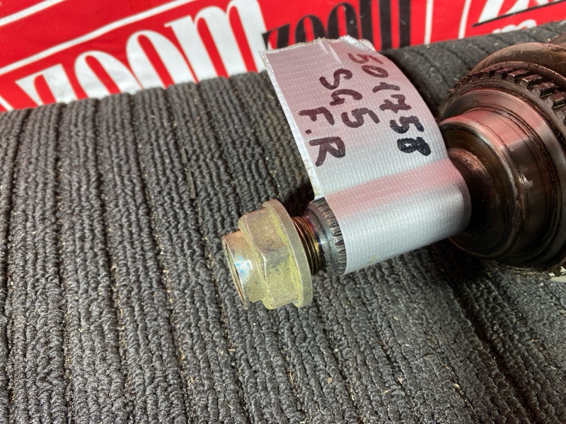 Привод, 7000 рублей, Солонцы