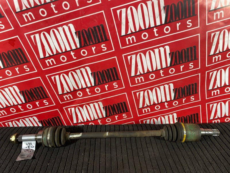 Привод, 1000 рублей, Солонцы