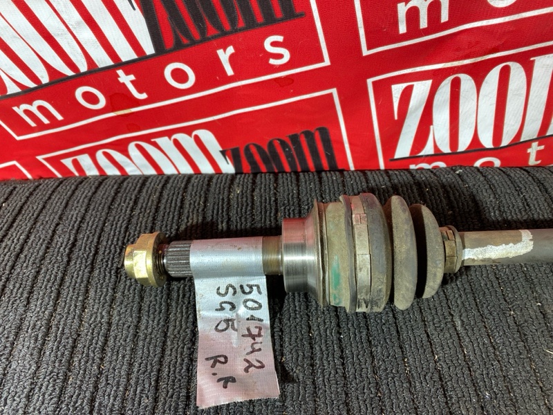 Привод, 1000 рублей, Солонцы