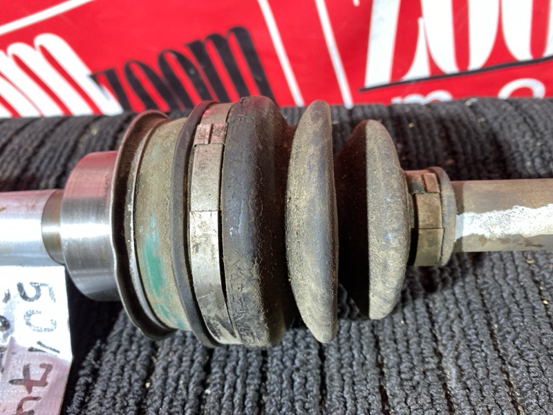 Привод, 1000 рублей, Солонцы