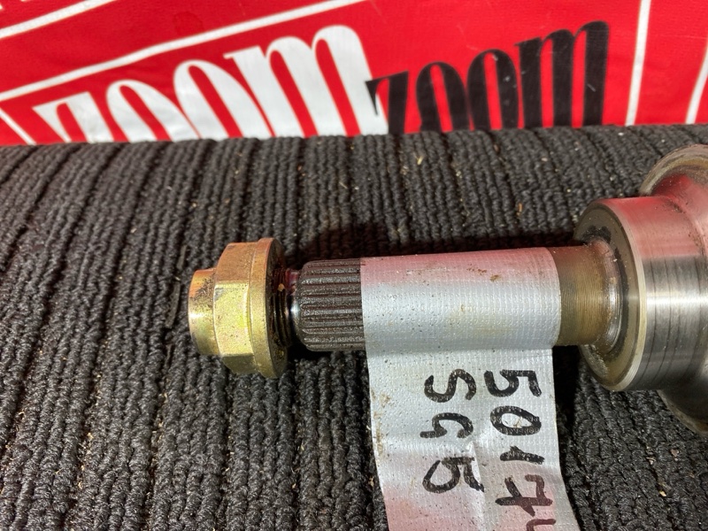 Привод, 1000 рублей, Солонцы