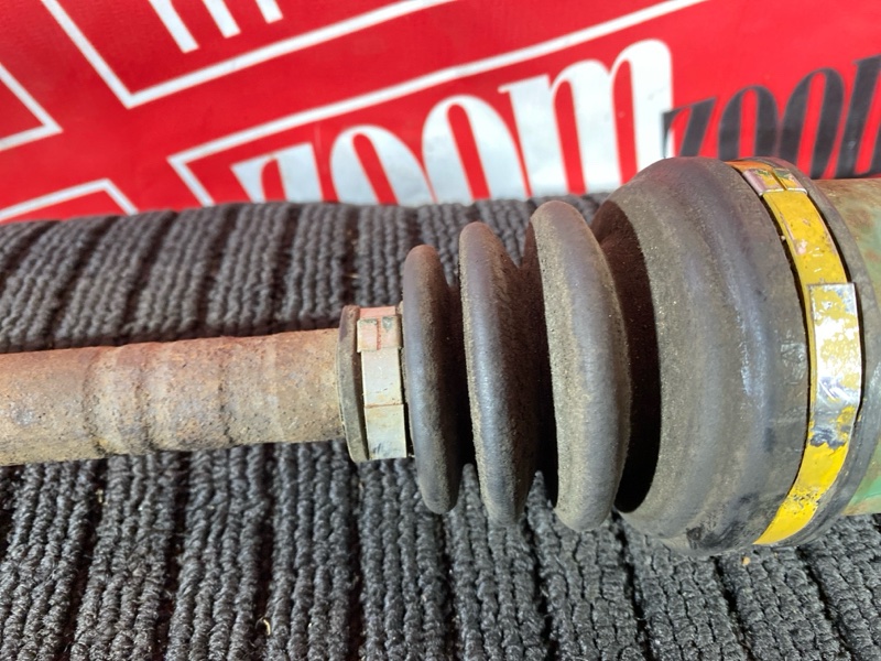 Привод, 1000 рублей, Солонцы