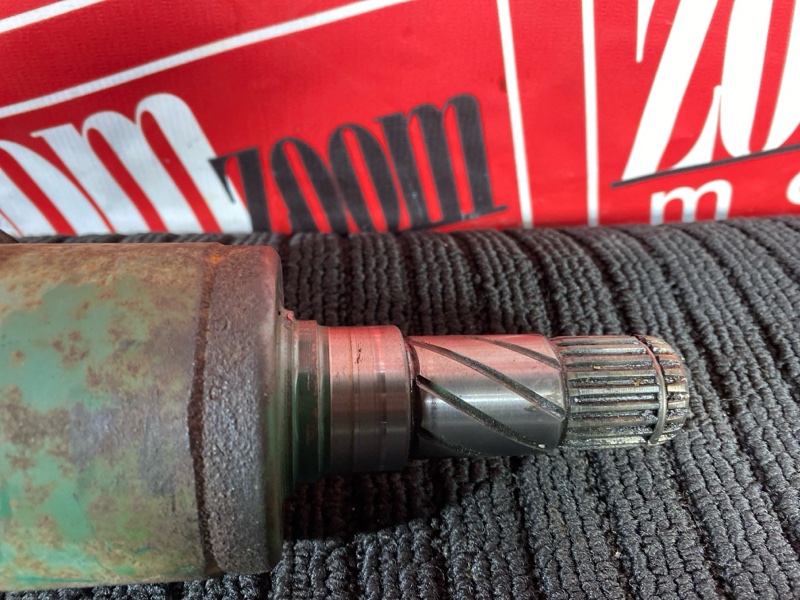 Привод, 1000 рублей, Солонцы