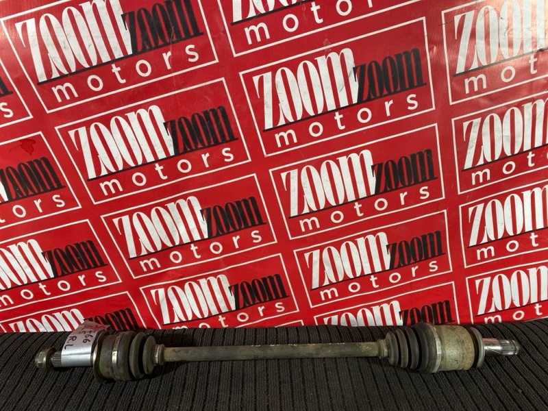 Привод, 1000 рублей, Солонцы