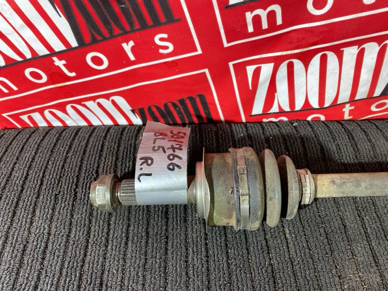 Привод, 1000 рублей, Солонцы