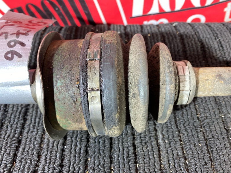 Привод, 1000 рублей, Солонцы