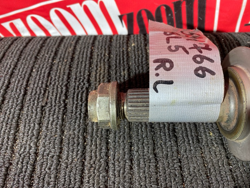 Привод, 1000 рублей, Солонцы