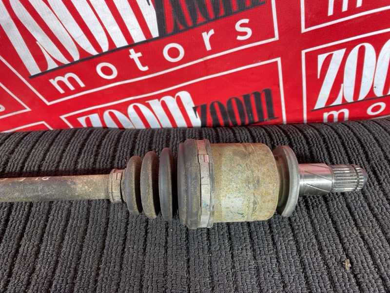 Привод, 1000 рублей, Солонцы