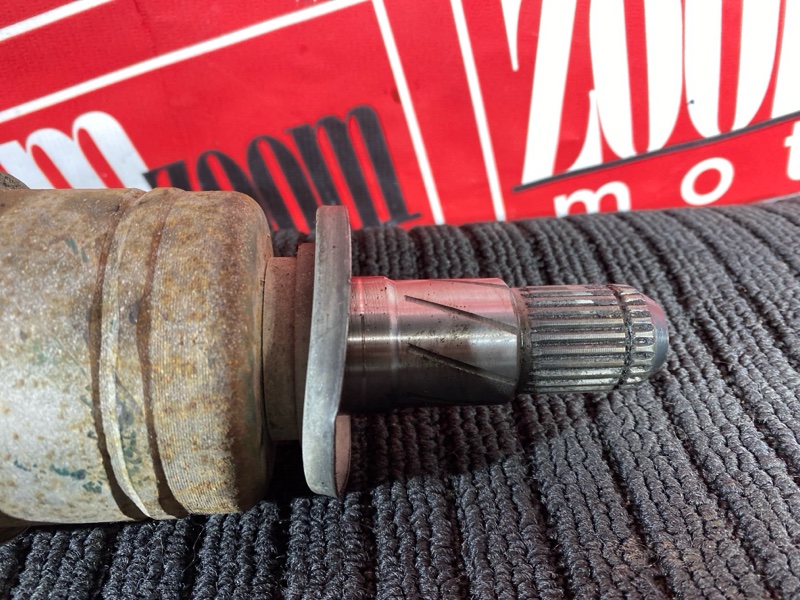 Привод, 1000 рублей, Солонцы