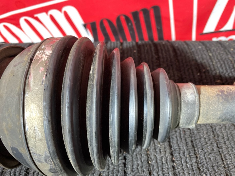 Привод, 3000 рублей, Солонцы