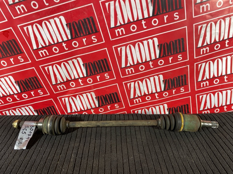 Привод, 1000 рублей, Солонцы