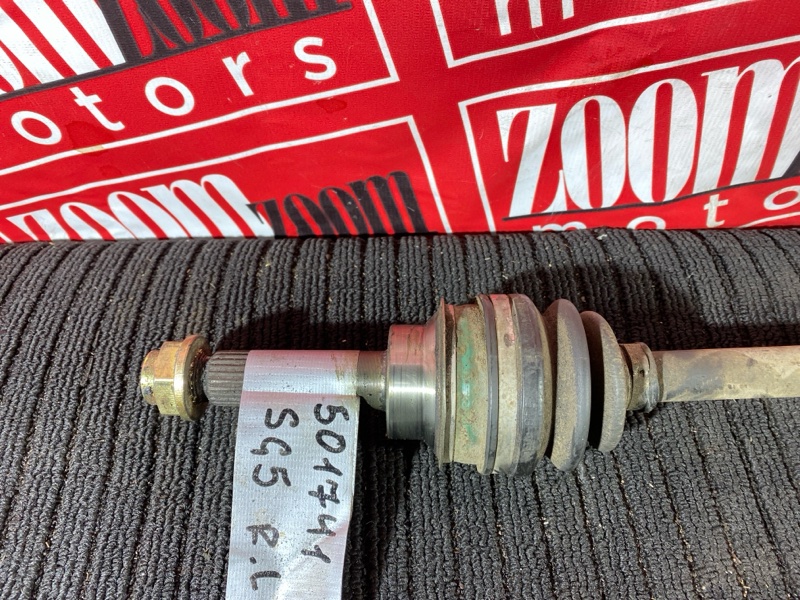 Привод, 1000 рублей, Солонцы