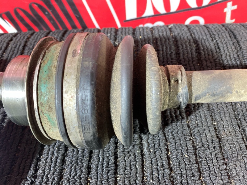 Привод, 1000 рублей, Солонцы