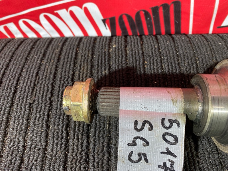 Привод, 1000 рублей, Солонцы