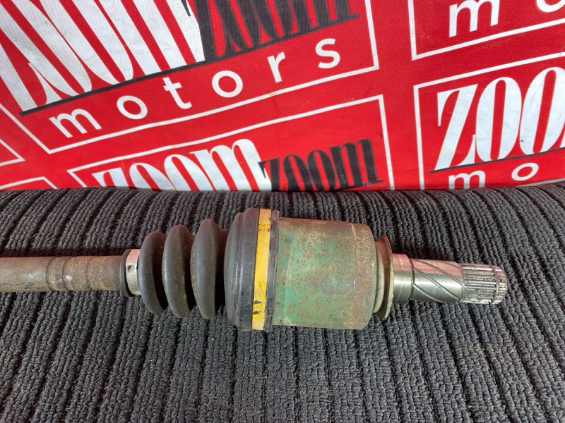 Привод, 1000 рублей, Солонцы