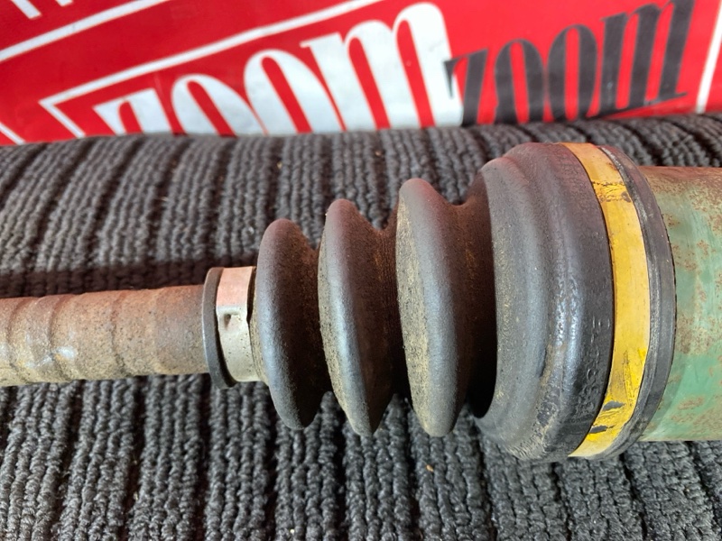 Привод, 1000 рублей, Солонцы