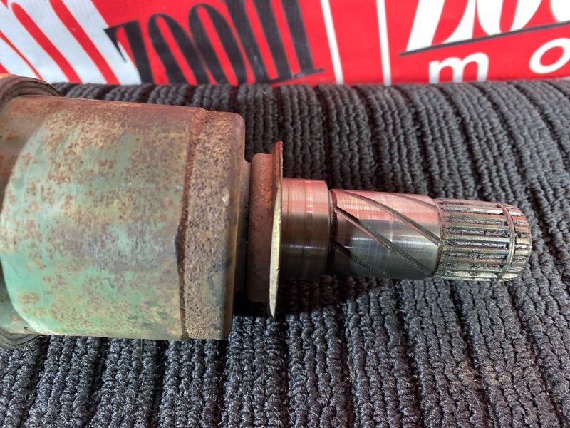 Привод, 1000 рублей, Солонцы