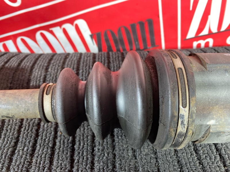 Привод, 8000 рублей, Солонцы