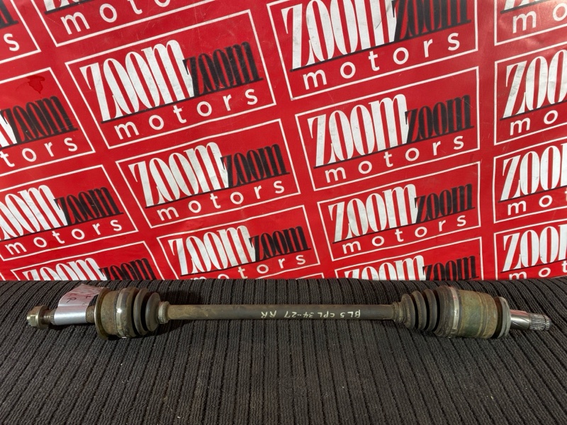 Привод, 1000 рублей, Солонцы