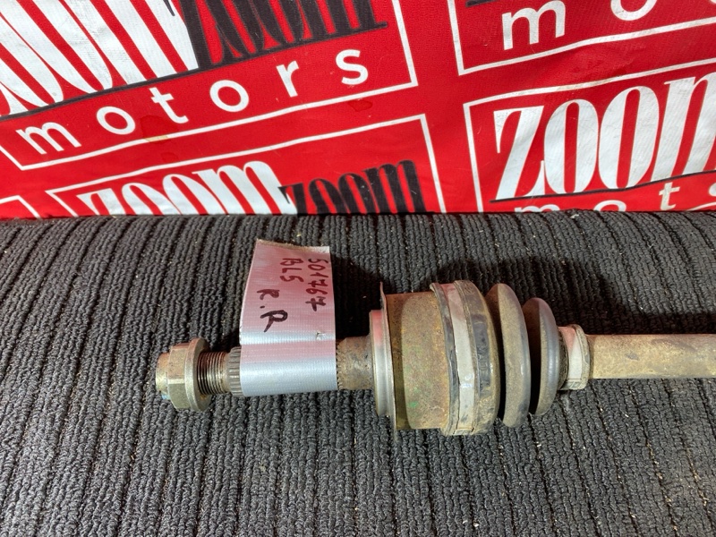 Привод, 1000 рублей, Солонцы