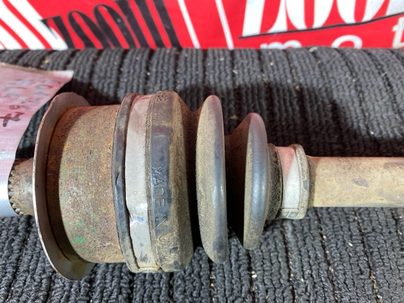 Привод, 1000 рублей, Солонцы