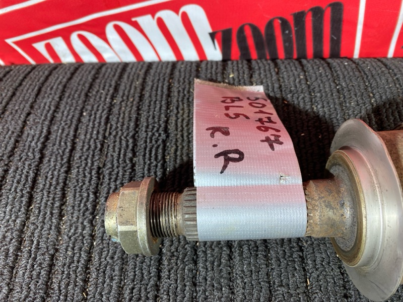 Привод, 1000 рублей, Солонцы