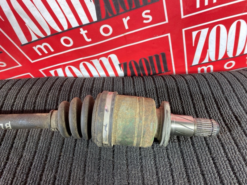 Привод, 1000 рублей, Солонцы