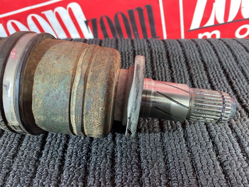 Привод, 1000 рублей, Солонцы