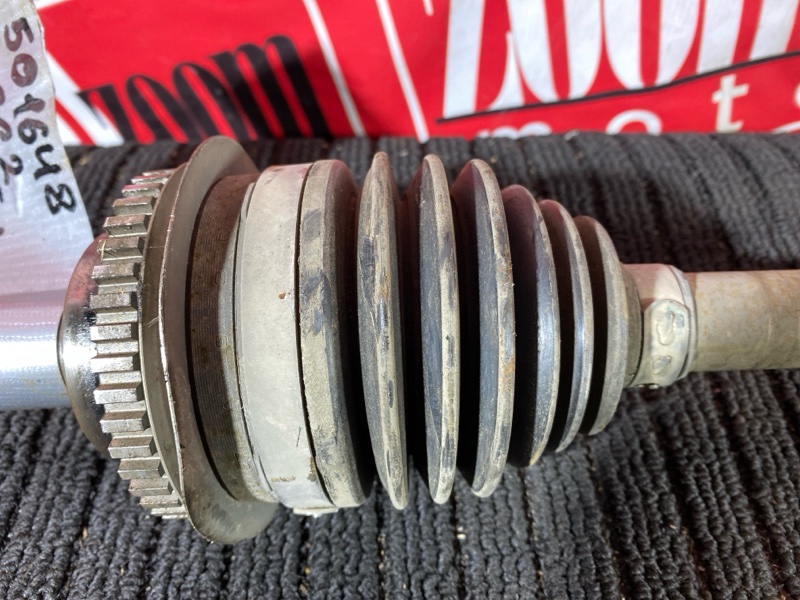 Привод, 5000 рублей, Солонцы