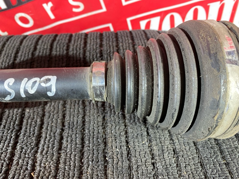 Привод, 3500 рублей, Солонцы