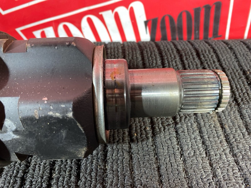 Привод, 3500 рублей, Солонцы