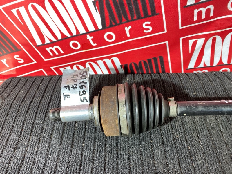 Привод, 5000 рублей, Солонцы