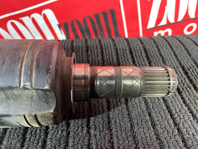 Привод, 12500 рублей, Солонцы