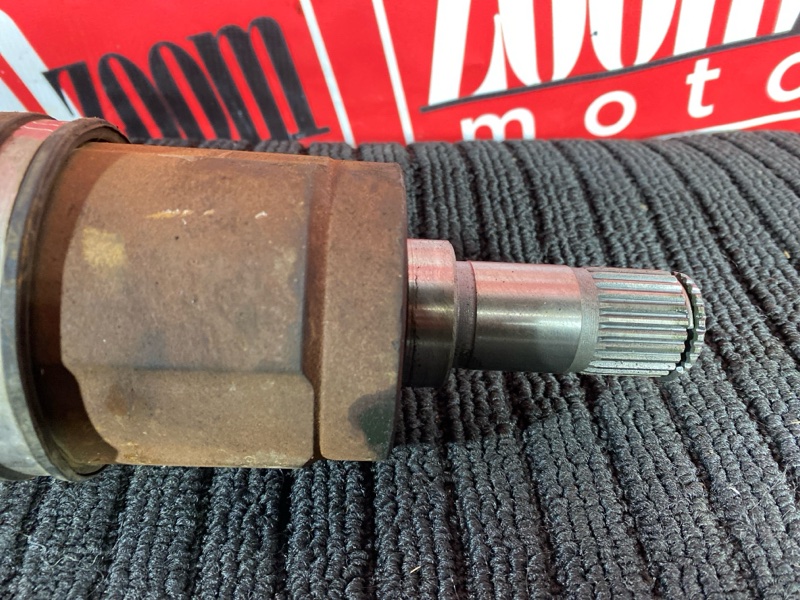 Привод, 1800 рублей, Солонцы