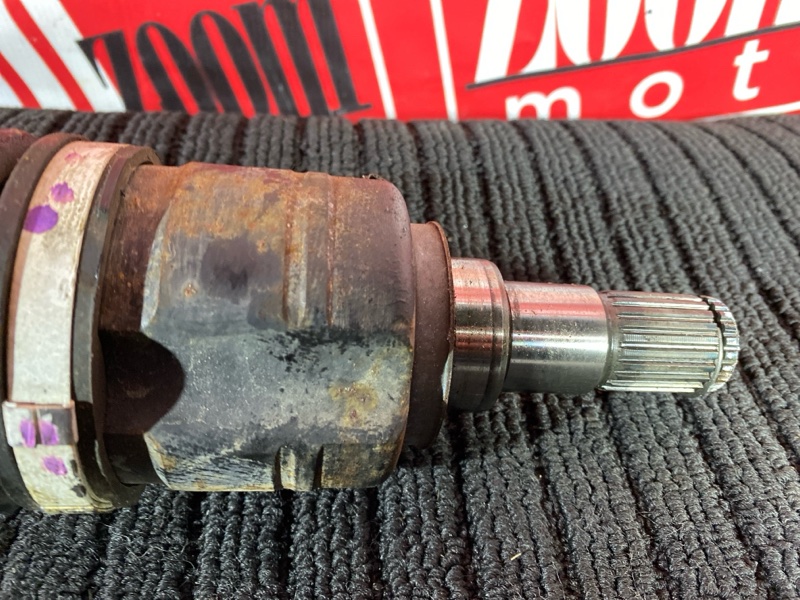 Привод, 6300 рублей, Солонцы