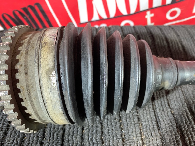 Привод, 16000 рублей, Солонцы