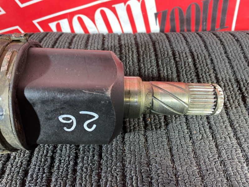 Привод, 16000 рублей, Солонцы