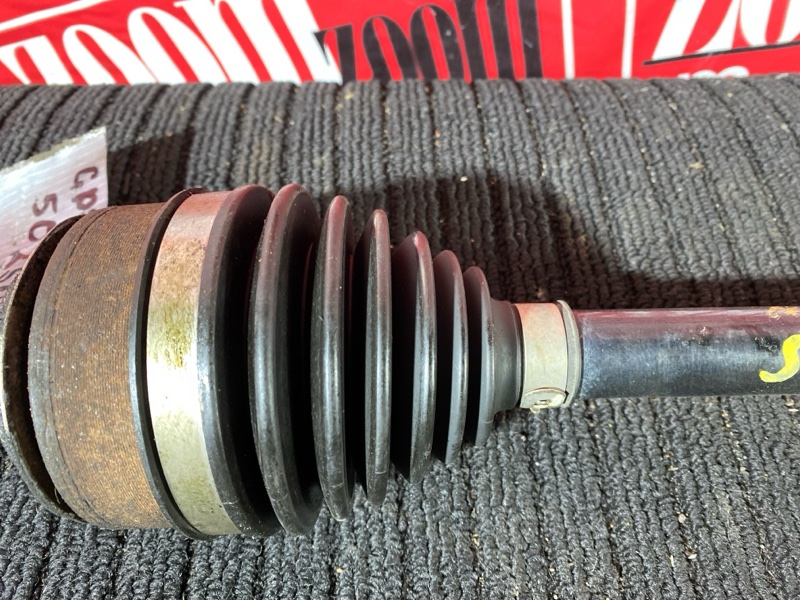 Привод, 1200 рублей, Солонцы