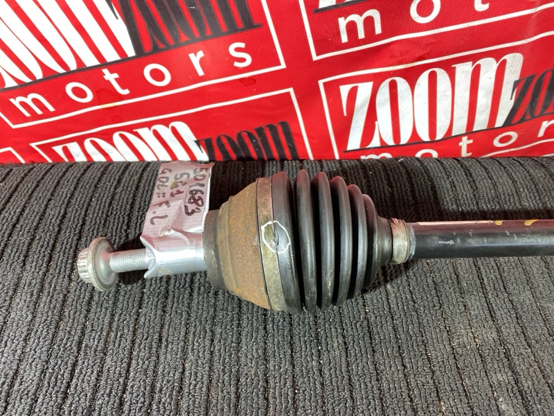 Привод, 8000 рублей, Солонцы