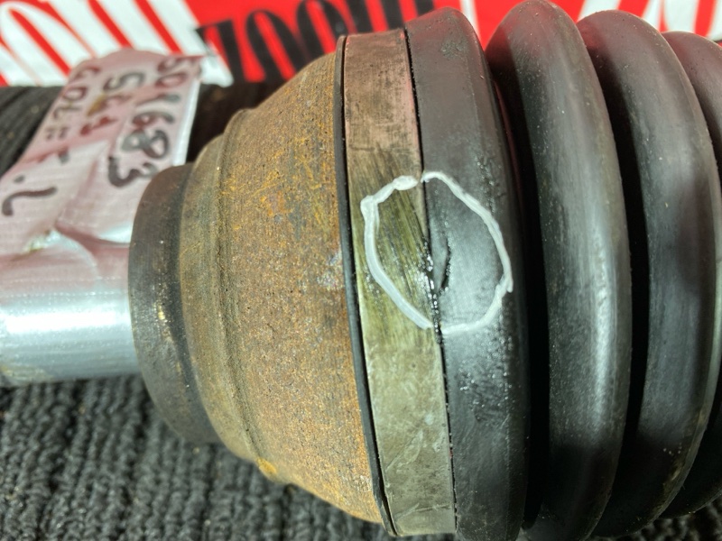 Привод, 8000 рублей, Солонцы