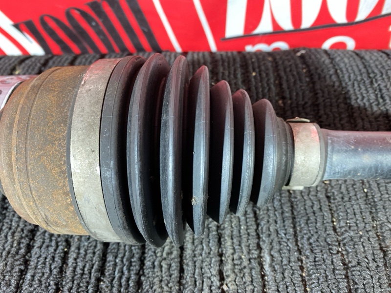 Привод, 1800 рублей, Солонцы