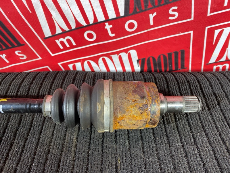 Привод, 1800 рублей, Солонцы