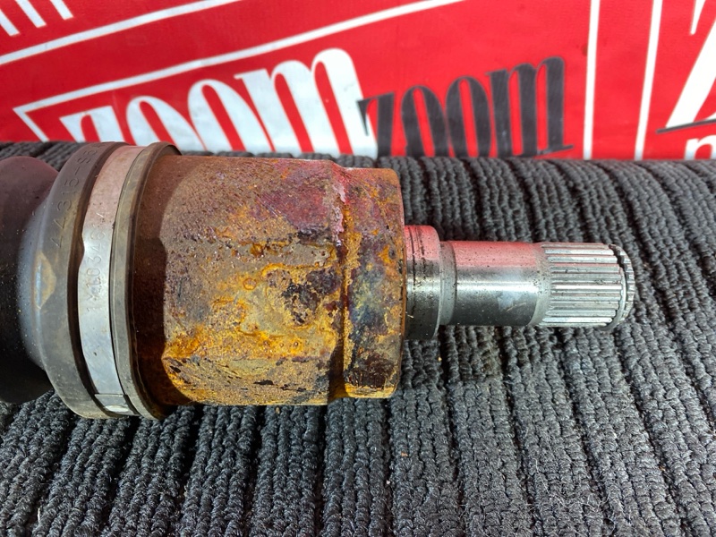 Привод, 1800 рублей, Солонцы