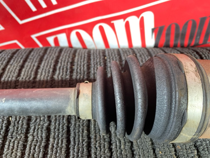 Привод, 5000 рублей, Солонцы