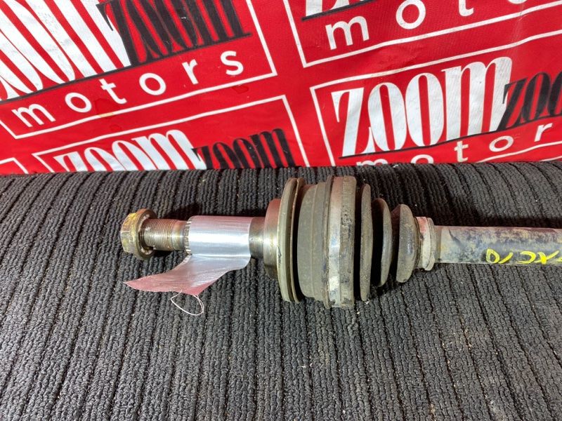 Привод, 1900 рублей, Солонцы