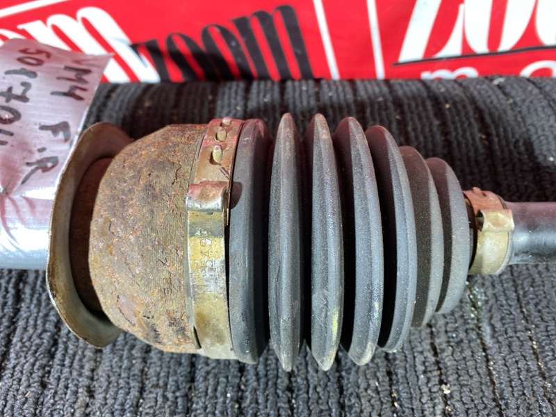 Привод, 9000 рублей, Солонцы