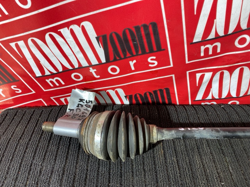 Привод, 1200 рублей, Солонцы