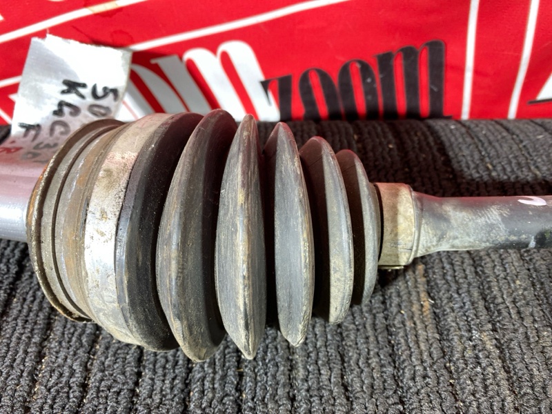 Привод, 1200 рублей, Солонцы