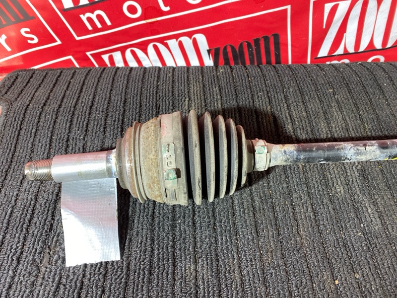 Привод, 4000 рублей, Солонцы